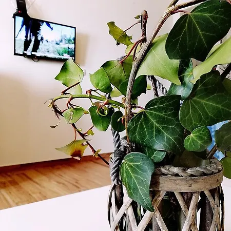 Apartman Tina Apartamento Trogir